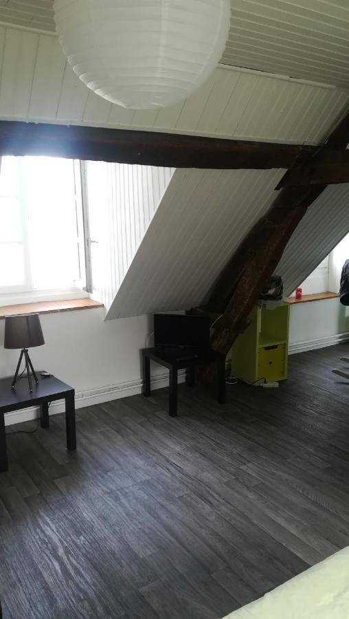 Appartement Spacieux Vue Sur Loire Proche Du Centre Blois Exterior photo