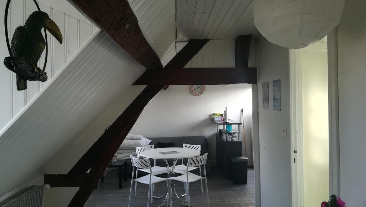 Appartement Spacieux Vue Sur Loire Proche Du Centre Blois Exterior photo